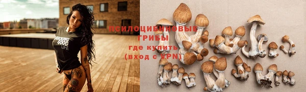 каннабис Алексин