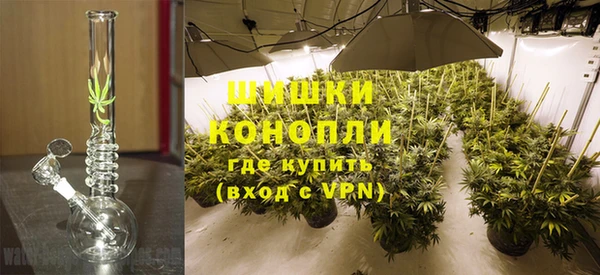 мдпв Пересвет