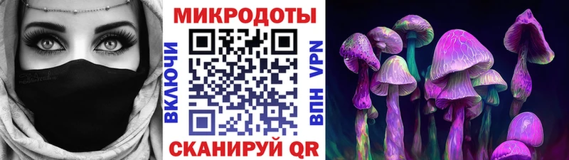 Псилоцибиновые грибы мицелий  маркетплейс формула  блэк спрут ссылки  Петровск  купить закладку 